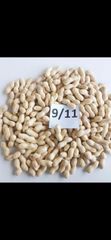 peanut - Image 2