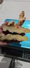 Fresh Ginger - Image 1