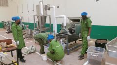 Factory tour