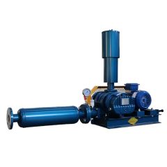 Factory Direct Driven 10HP Small Air Bower Roots Rotary Lobe Blower Vacuum Pumps - Image 5