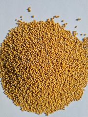 Poppy seed <10 ppm, 99,9% Czech origin, 2022 - Image 2