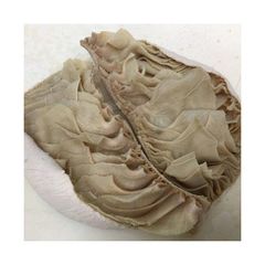 Beef omasum available for wholesale sale perfect for meat distributors and wholesale butchers - Image 3