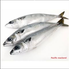 Japanese Frozen Yellow Tail Fillet Seafood Frozen Fish Frozen Fish Mackerel frozen prices pacific - Image 3
