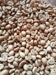 Coffee & Coffee Bean – product photo 2, product detail gallery