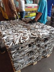 Sardine fish - Image 2