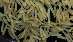 Premium 1509 Basmati: Raw, Steam, Golden & White Sella | 95% Purity | Broken Under 1% | Bulk Export Packaging from India - Image 3
