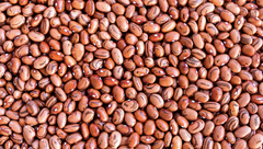 Organic Red Kidney Beans - Image 1