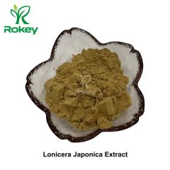 Premium Herbal Antioxidant Immune Support Powder Lonicera Japonica Extract - Changsha Rokey Biotechnology Co., Ltd.