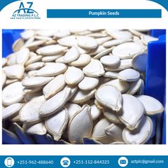 Rich Quality High Grade Pure Natural Organic Pumpkin Seeds Kernels from Top Supplier - Image 3