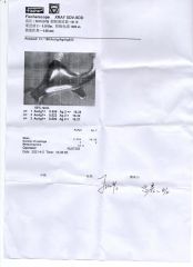 Plated Certificates certificate from YU JING JEWELRY CO., LTD.