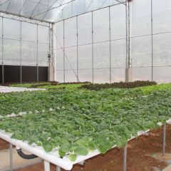 China Hydroponics Nft Pipe Accessories Hydroponic Fertilizer Automated Nft Systems - Image 5