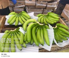 Cavendish Banana – product photo 1, product detail gallery