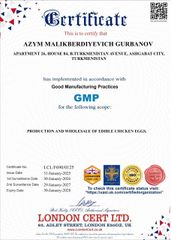 GMP Good Manufacturing Practices certificate from Orun Trading LLC