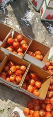 Pomegranates - Image 2