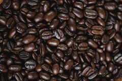 Company – thumbnail 5 of 7, supplier detail gallery