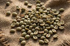 Robusta Coffee Beans Bulk Wholesale Consistent Supply | Top Quality Robusta Coffee - Image 1