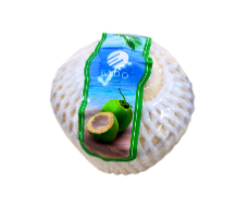 Coconut Diamond-cut  - Image 1