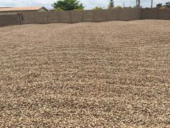 Raw Cashew Nuts - Image 4