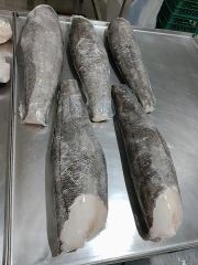 Patagonian Toothfish -  Chilean Seabass - Image 1