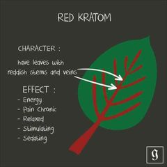 Kratom - Image 3