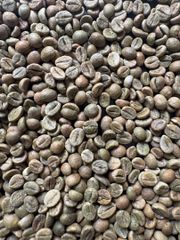 Robusta green beans – product photo 1, product detail gallery