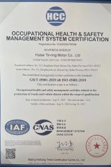 Certificate certificate from HUBEI TRI-RING MOTOR CO., LTD.