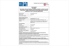 ICE certificate of Shanghai Lipep New Energy Technology Co., Ltd. – certificate photo, supplier certificates section