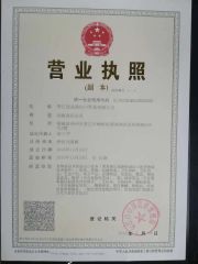 business license certificate from Champions Industry Co., Limited