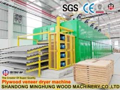 Belt Veneer Drying Machine for Plywood Making Machine - Image 6