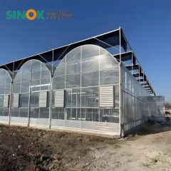 Multi Span Plastic Greenhouse with Hydroponics Planting System/Drip Irrigation System - Image 4