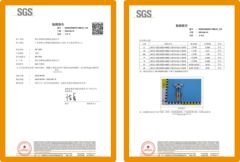 SGS certificate from Foshan Maxtolle Technology Co., Ltd.