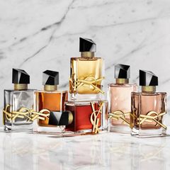 Designer style perfume bulk trade - Image 2