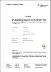 TUV Mark certificate from QINGDAO RAISING INOX CO., LTD.