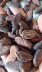 Indonesian Fermented Dried Cocoa Beans (Sun-Dried, Export Quality) - Image 1
