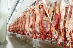 Beef – product photo 1, product detail gallery