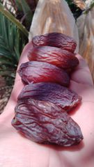 Medjool dates high quality – product photo 3, product detail gallery