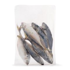 Frozen Mackerel Fish High Protein Seafood Choice Prepared For International Distribution And Import Markets - Image 4