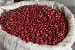 Wholesale Ethiopian High Quality Cream Beans Fresh Kidney Red and White Beans Common Cultivation Type - Image 3