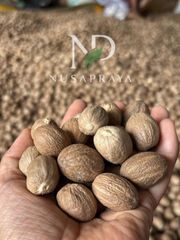 Nutmeg - Image 1