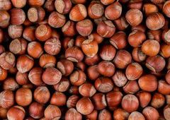 Quality Roasted Salted Hazelnut available for hot sale - Image 2