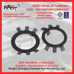 GB858 Plate Washer Spring Washers for Round Nuts Stainless Steel Stop Nuts - Image 4