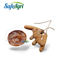 Tangy Tamarind Paste Thailand 7.6% Max Protien with 7.1% Max Moisture Brown Color Single Herbs & Spices with 2 Years Shelf Life - Image 2