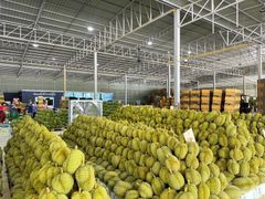 Durian – product photo 5, product detail gallery