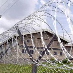 Factory Wholesale Galvanized Bto-30 Razor Blade Wire - Image 1
