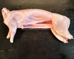 Sell Frozen Rabbit Meat Export Type Rabbit Style FROZEN Grade GradeA Packaging Box Brand Name OEM Quality Management Model Number - Image 1
