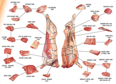 WE CAN OFFER FROZEN AND CHILLED BEEF VEAL AND MUTTON CUTS - Image 1