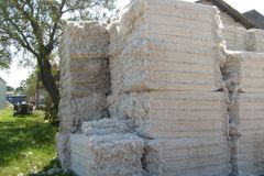 100% NATURAL COTTON Type RAW Packaging 170KG BALES Grade AA Place of Origin TANZANIA - Image 4