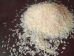 Rice - Image 3