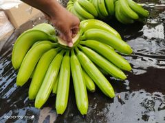 Cavendish Banana – product photo 1, product detail gallery