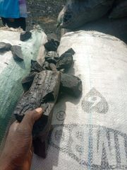 Hard and soft wood quality charcoal - Image 3